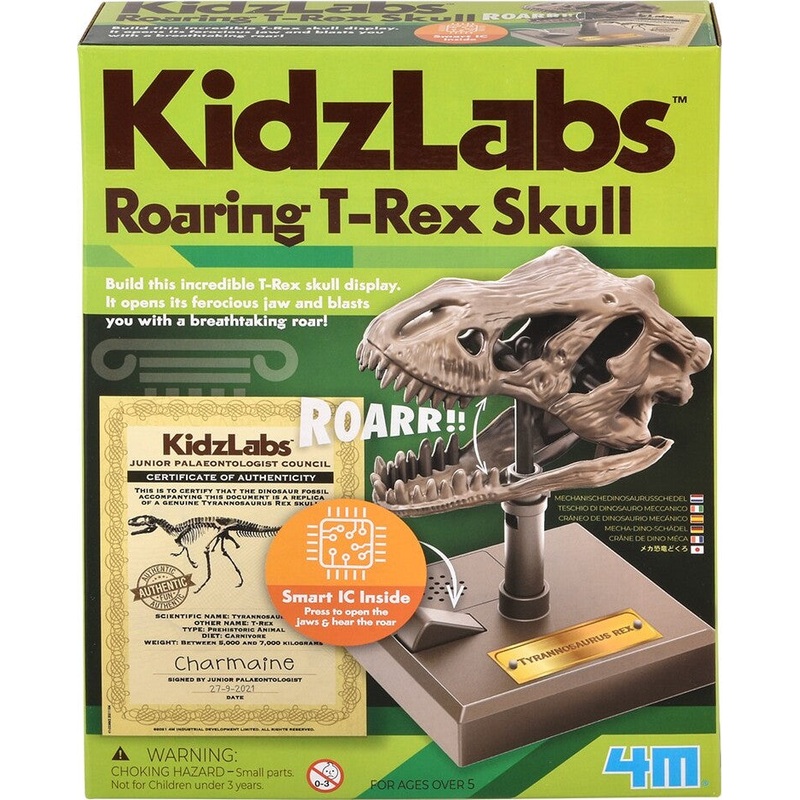 Kidzlabs – Dino Skull