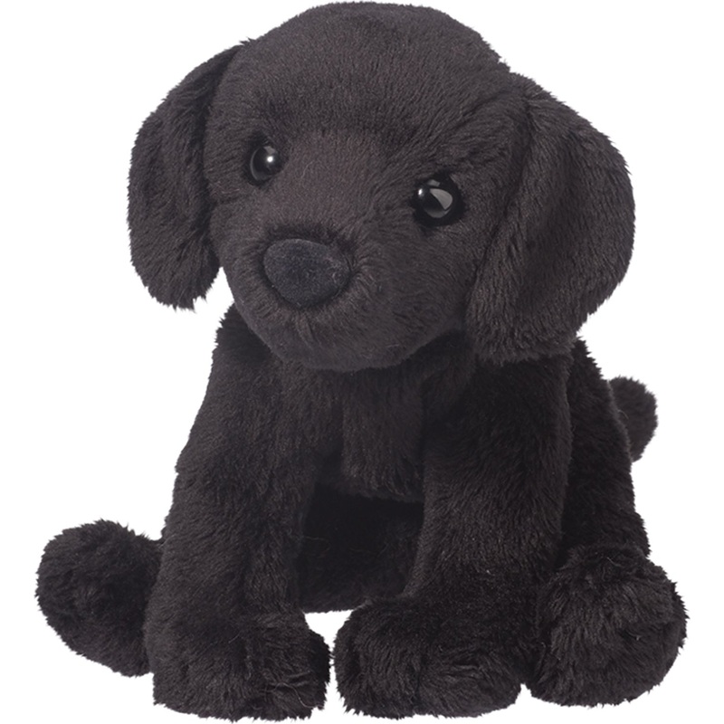 Lucy Black Lab