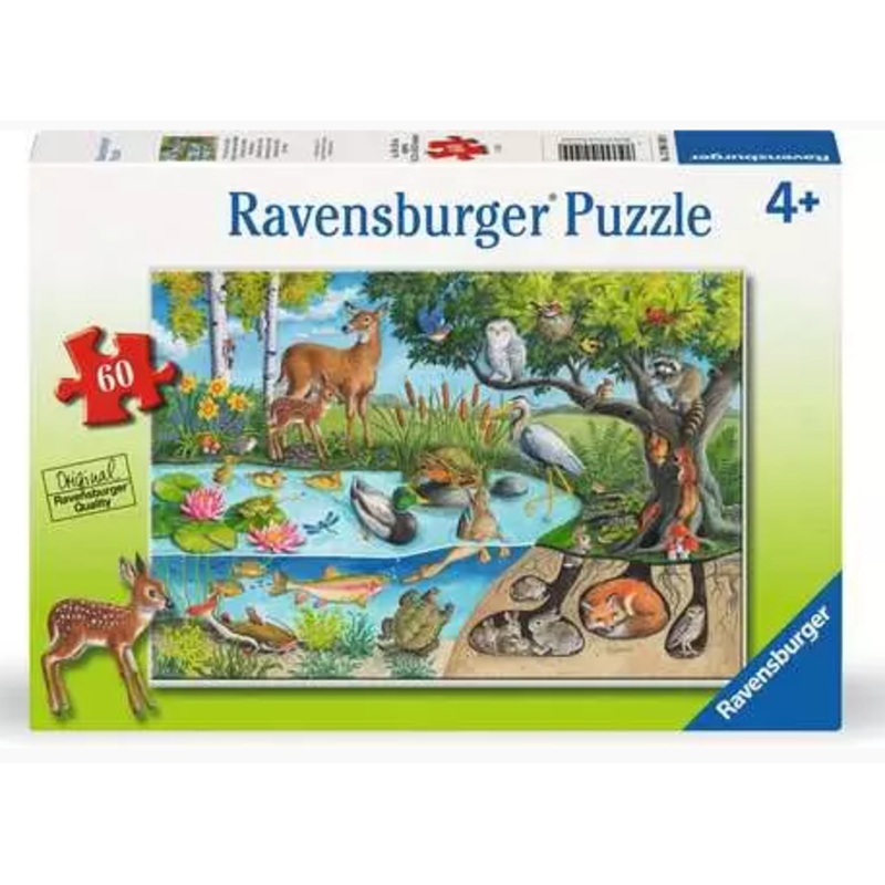 Animals Above and Below 60 Pc Puzzle