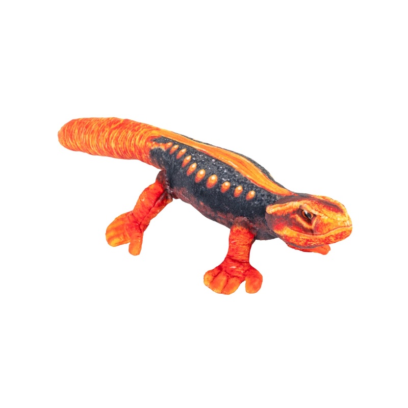 Wild Republic Coilkins Newt Himalayan 12 / 30cm