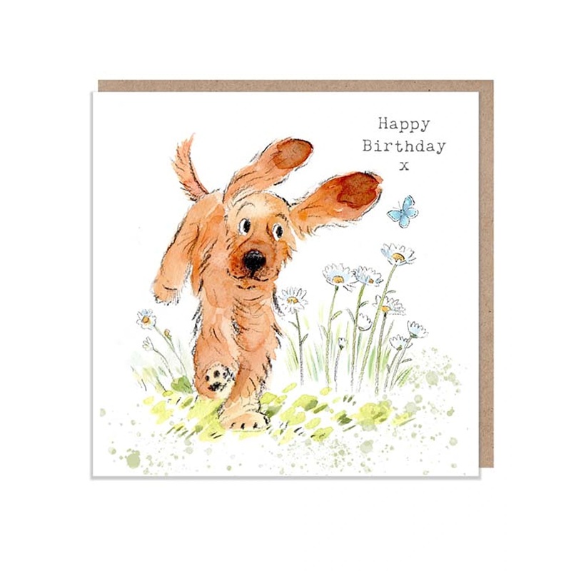 Waterlyn Paper Shed Design Jumping Cocker Spaniel With Daisies