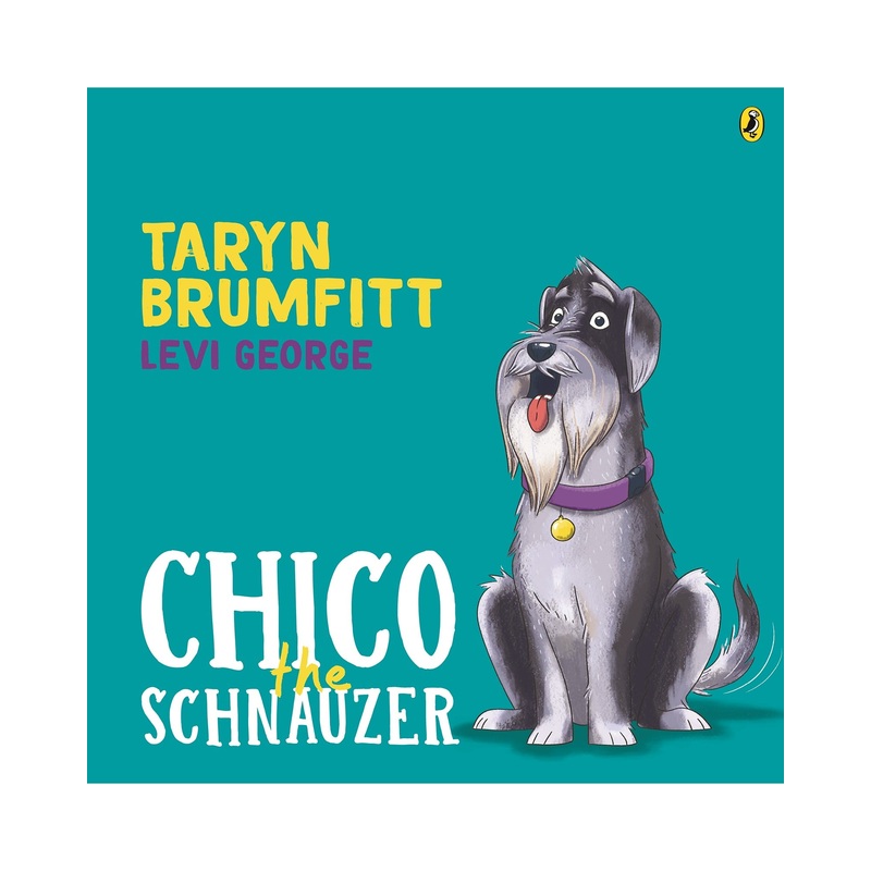 Chico the Schnauzer