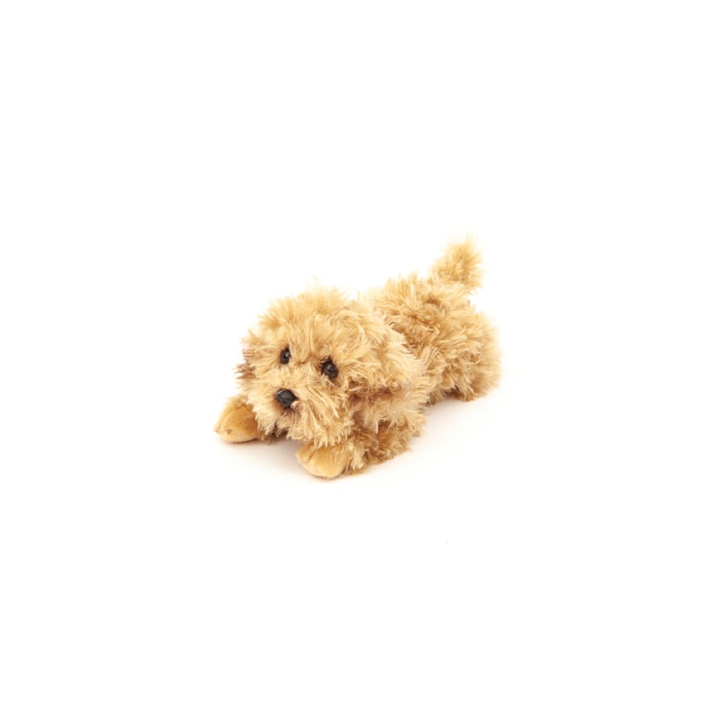 Animal Allsorts Luna Labradoodle Puppy