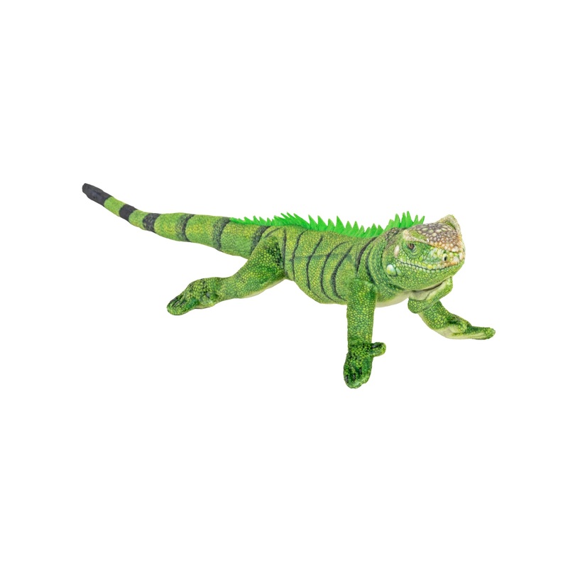 Wild Republic Coilkins Iguana Green 12 / 30cm