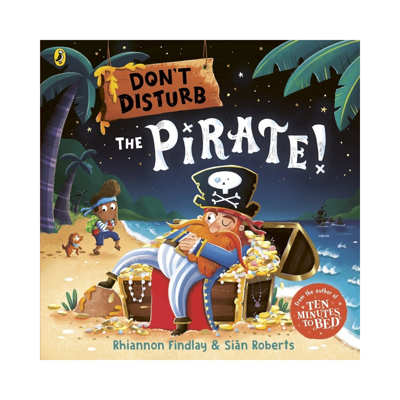 Dont Disturb The Pirate Hardback Book