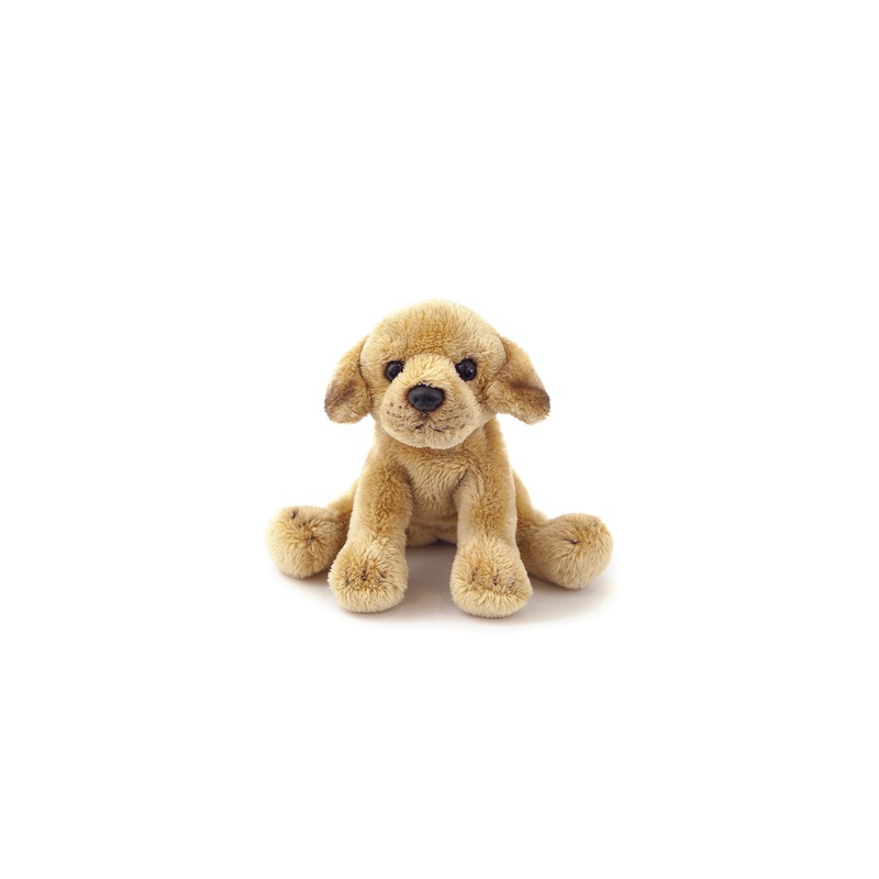 Animal Allsorts Marley Junior Labrador Small
