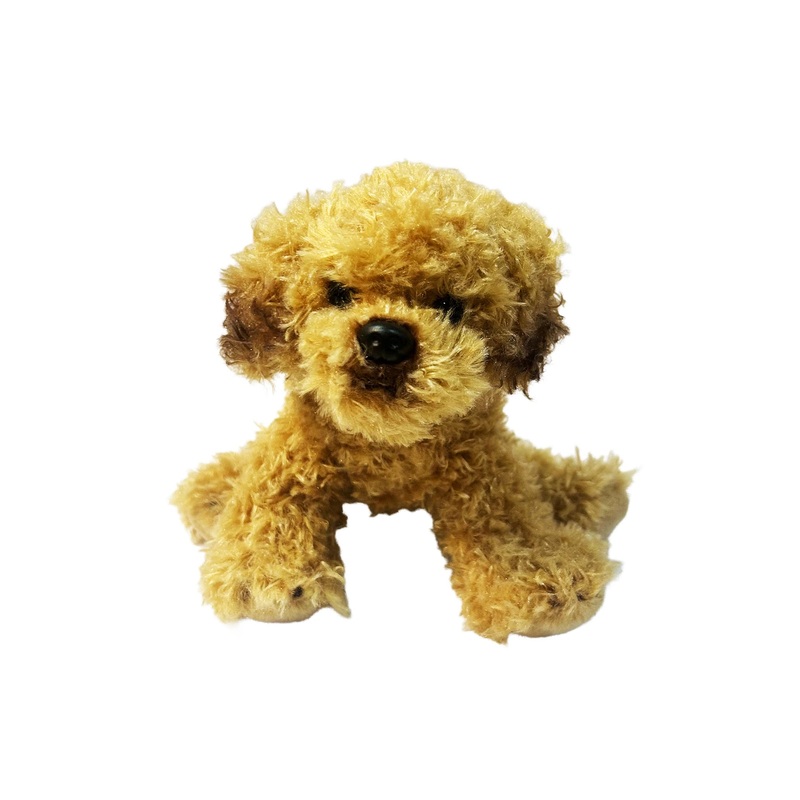 Animal Allsorts Lottie Labradoodle Small