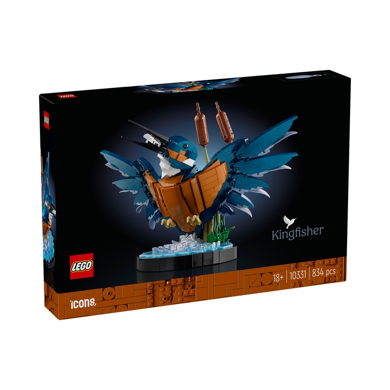 10331 Kingfisher Bird
