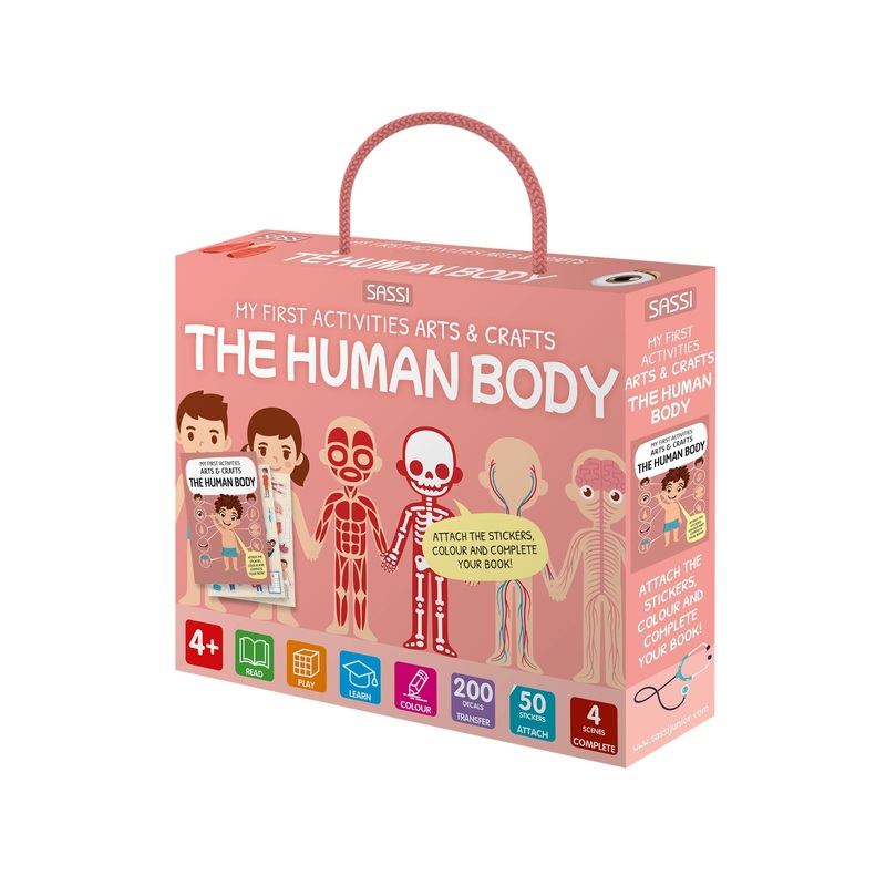 Sassi Arts and Crafts Human Body