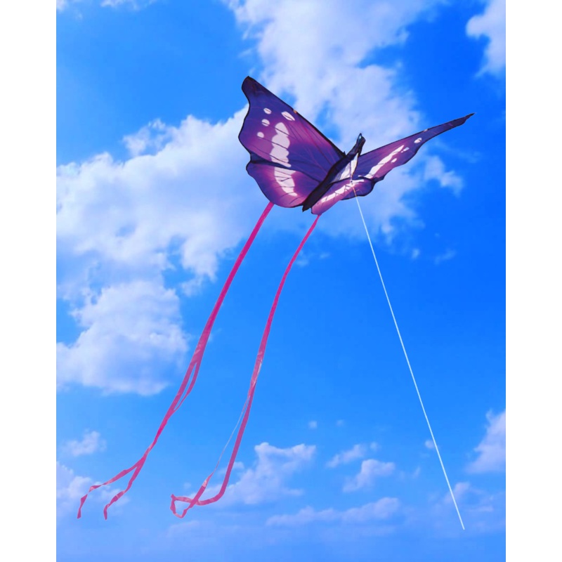 Freeplay Kids Butterfly Kite