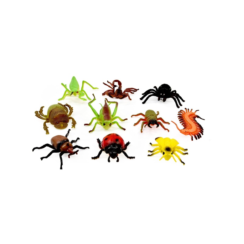 Zoo Crew Insect World