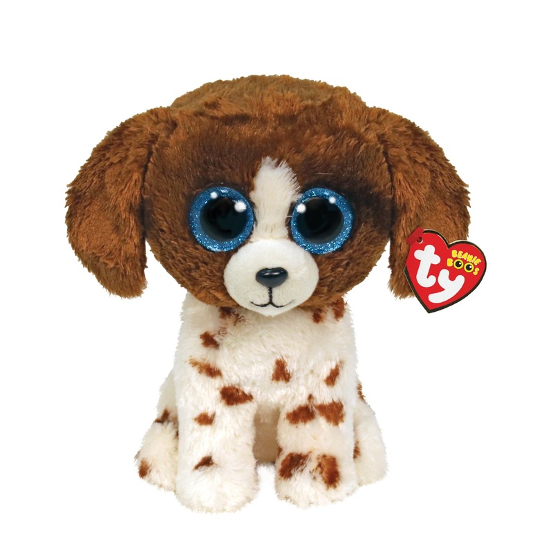 TY Reg Muddles Dog