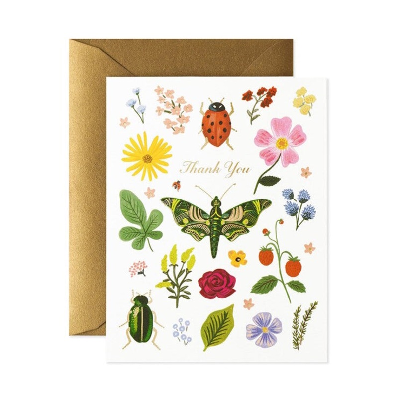 Curio Thank You Card
